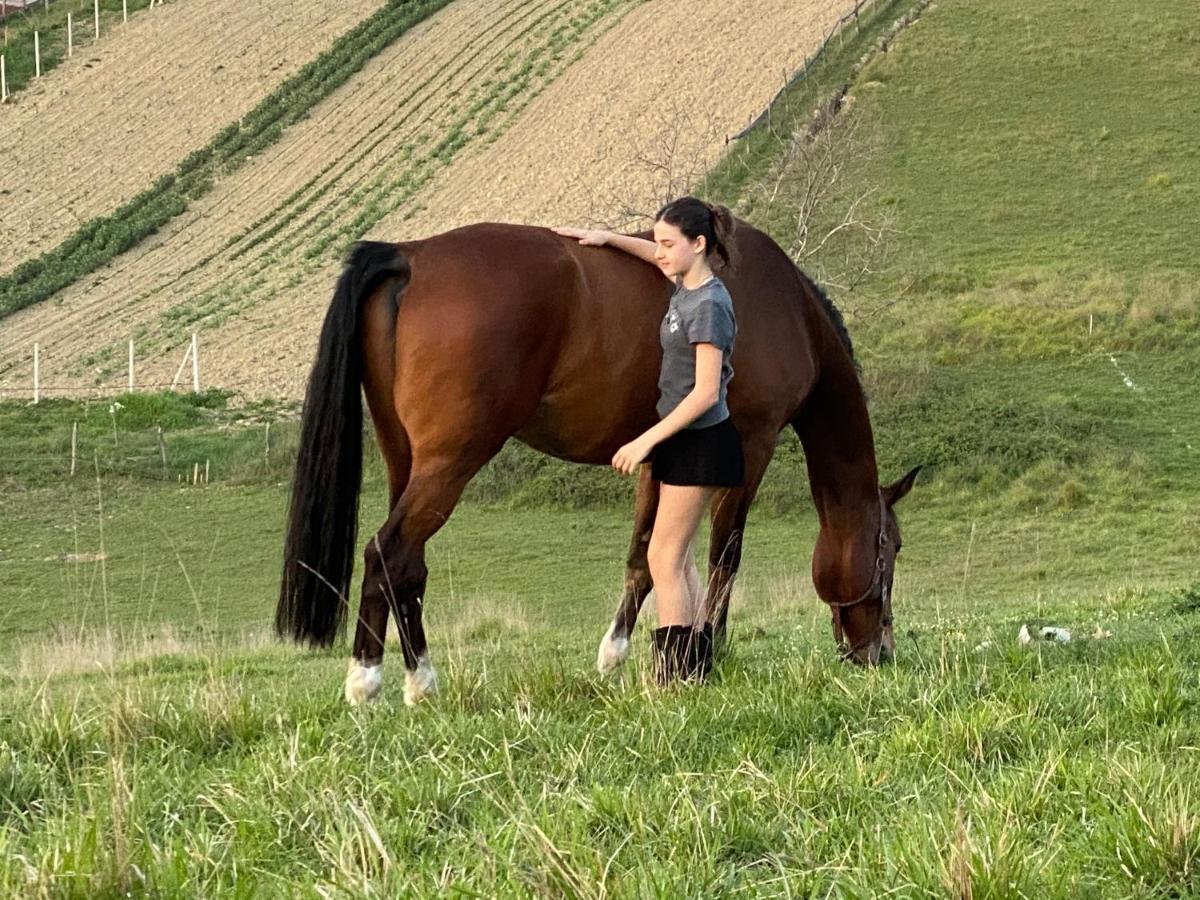 Tenuta Lisetta Monterotondo  Exteriör bild