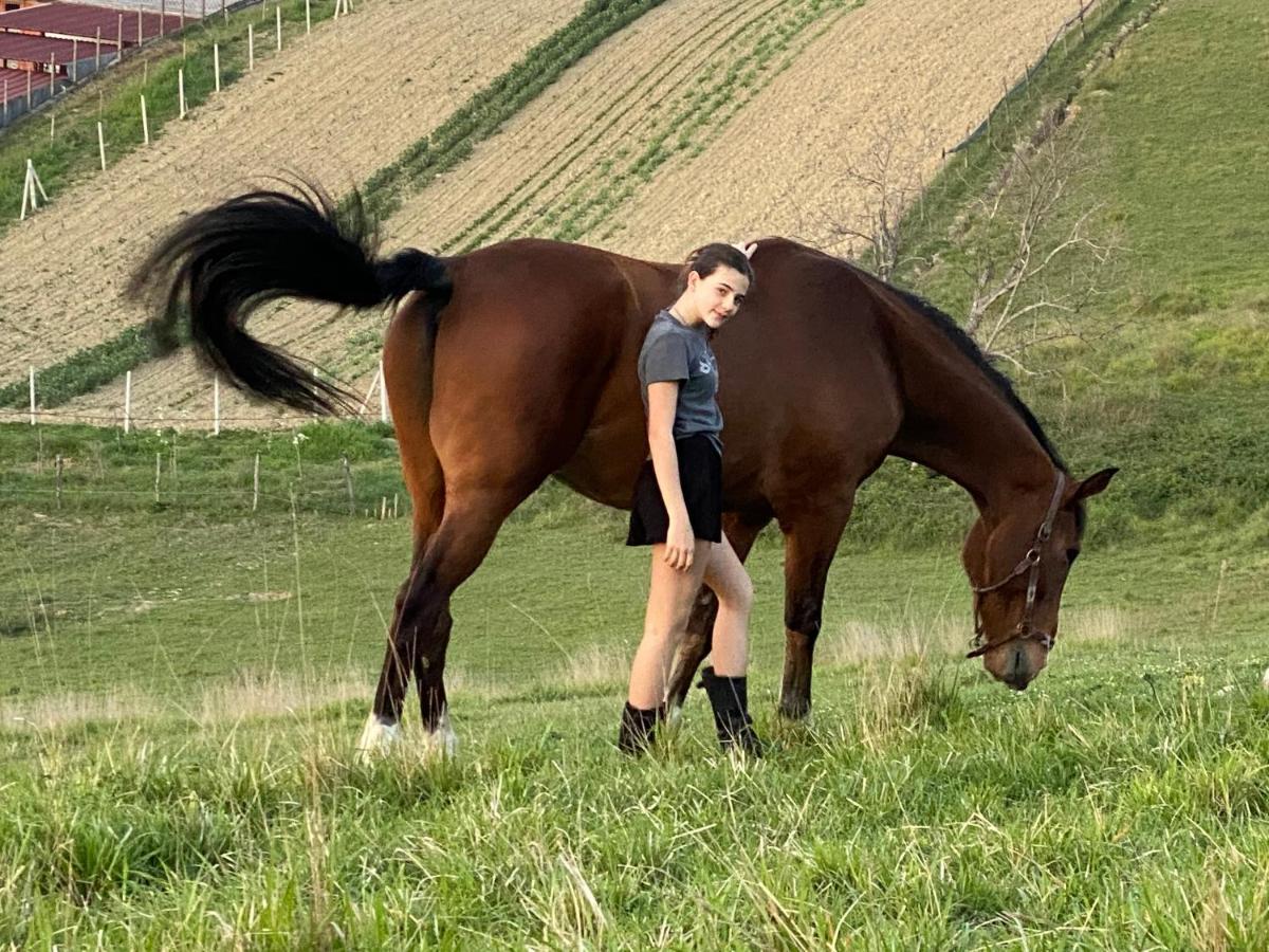 Tenuta Lisetta Monterotondo  Exteriör bild